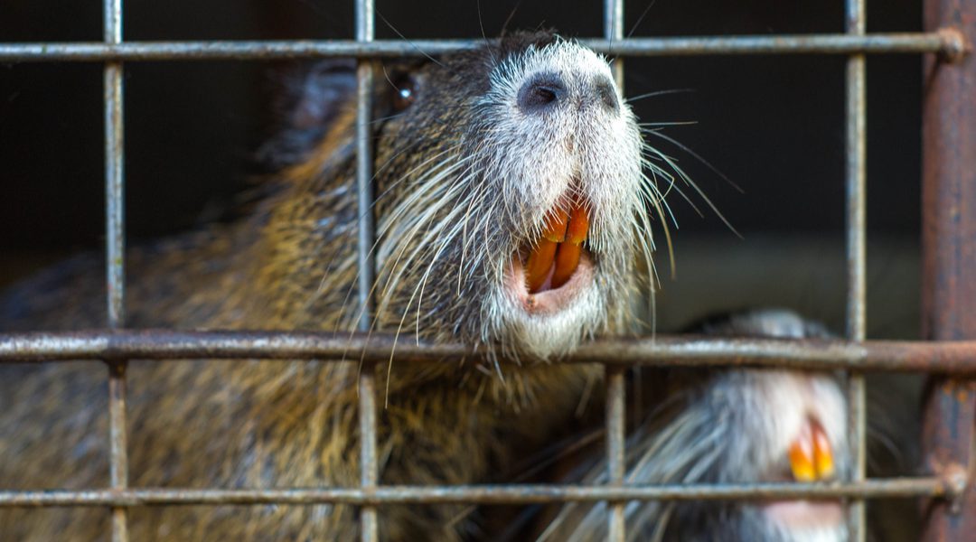Brabantse Delta werkt met EVC aan duurzame inzetbaarheid